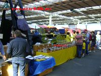 CITROMOBILE 2008