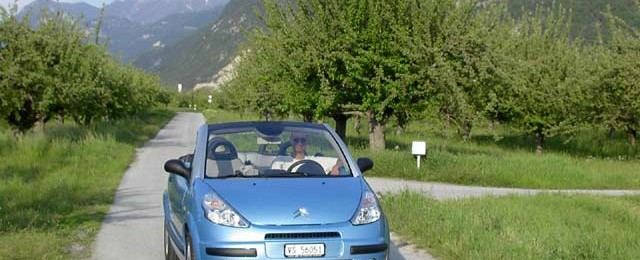 C3 PLURIEL 2004