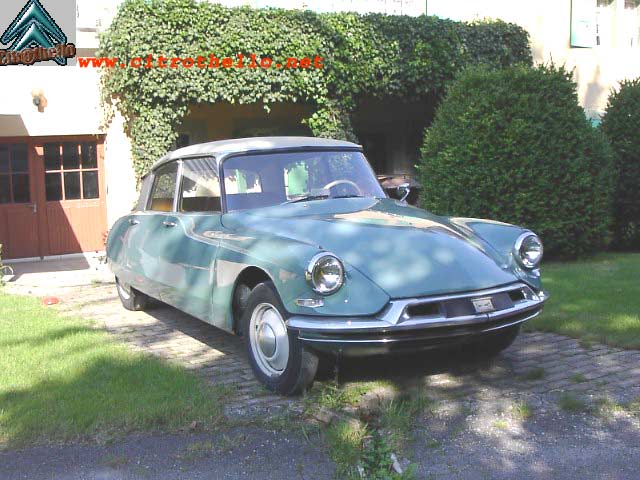 ID 19 1961 VERT MELEZE.